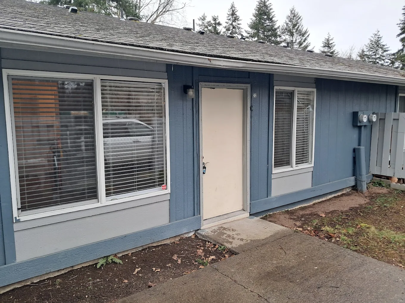 Exterior home repair and door project